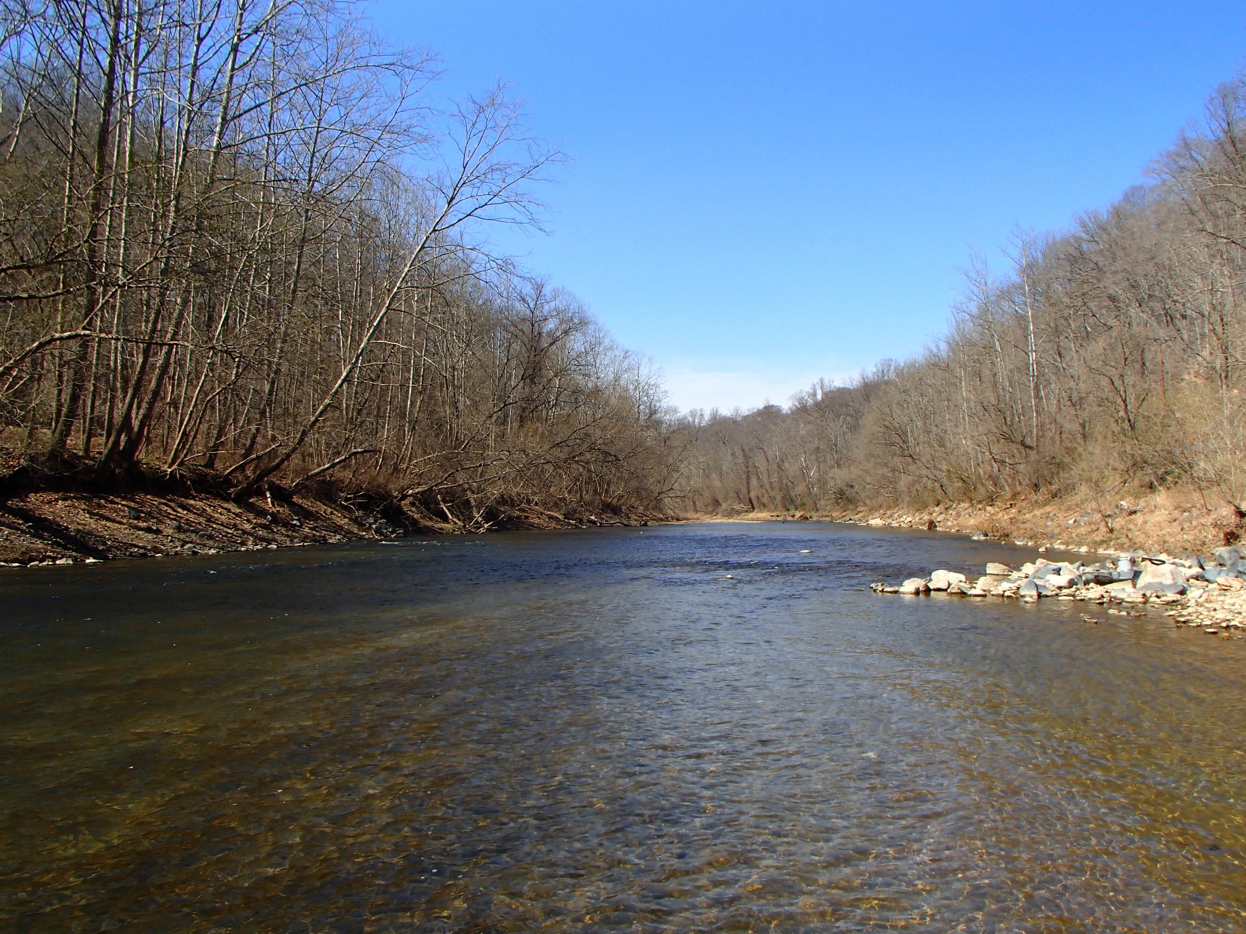Field photo showing stream conditions at site PATL-B08-X-2016_midpoint looking upstream